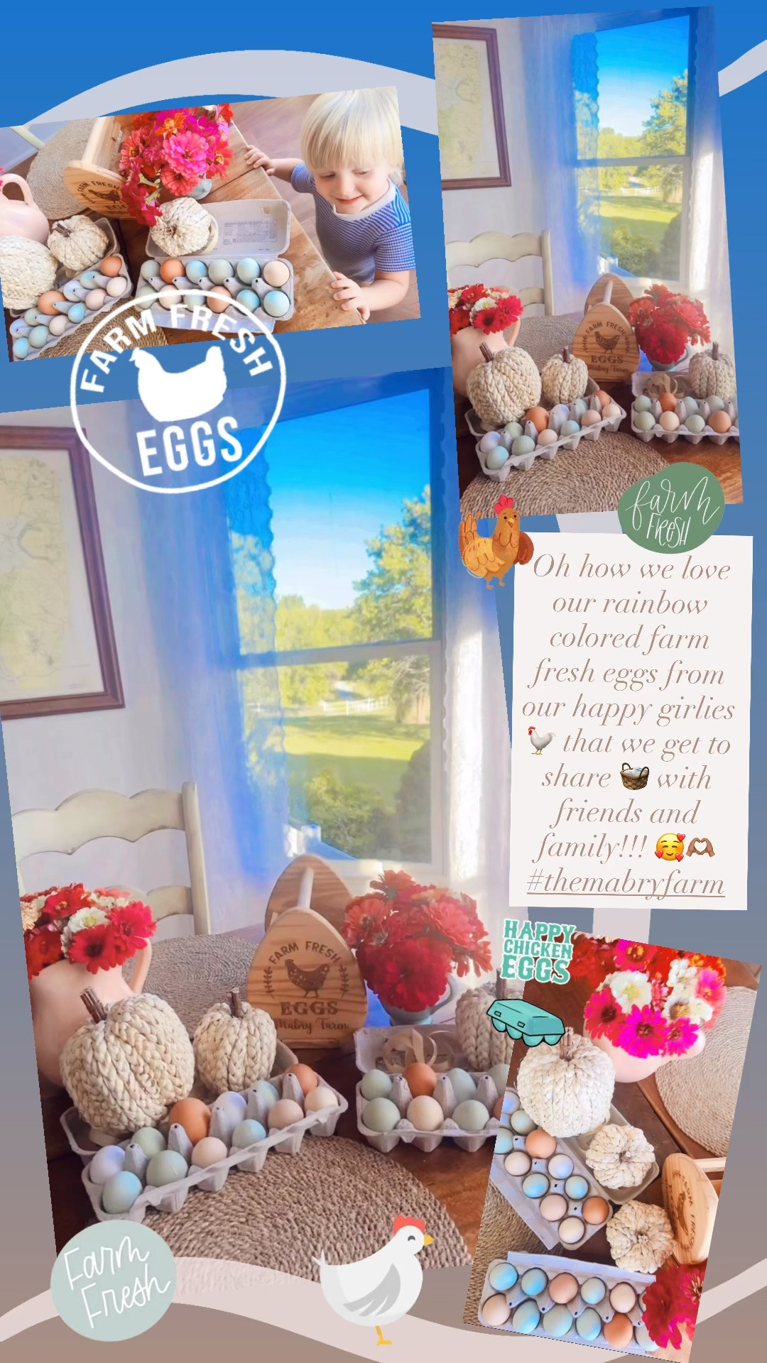 Oh how we love our rainbow colored farm fresh eggs from our happy girlies 🐓 that we get to share 🧺 with friends and family!!! 🥰🫶🏽 #themabryfarm