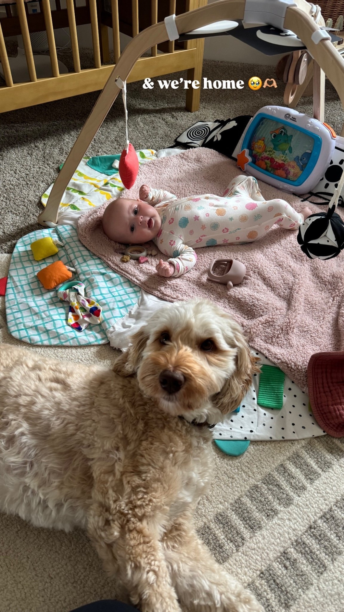 Back home with all of baby girl’s favorite things! Amazon baby, baby entertainment, baby toys.

#LTKBaby #LTKHome #LTKFamily