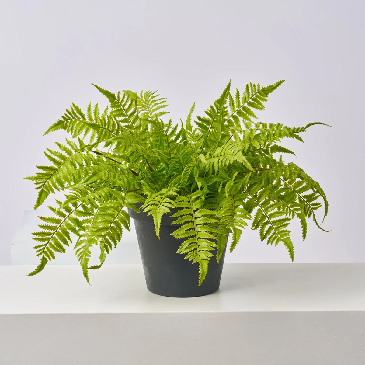 Lifelike Boston Fern Outdoor Faux Urn Filler Spring Everyday Arrangement | Darby Creek Trading
