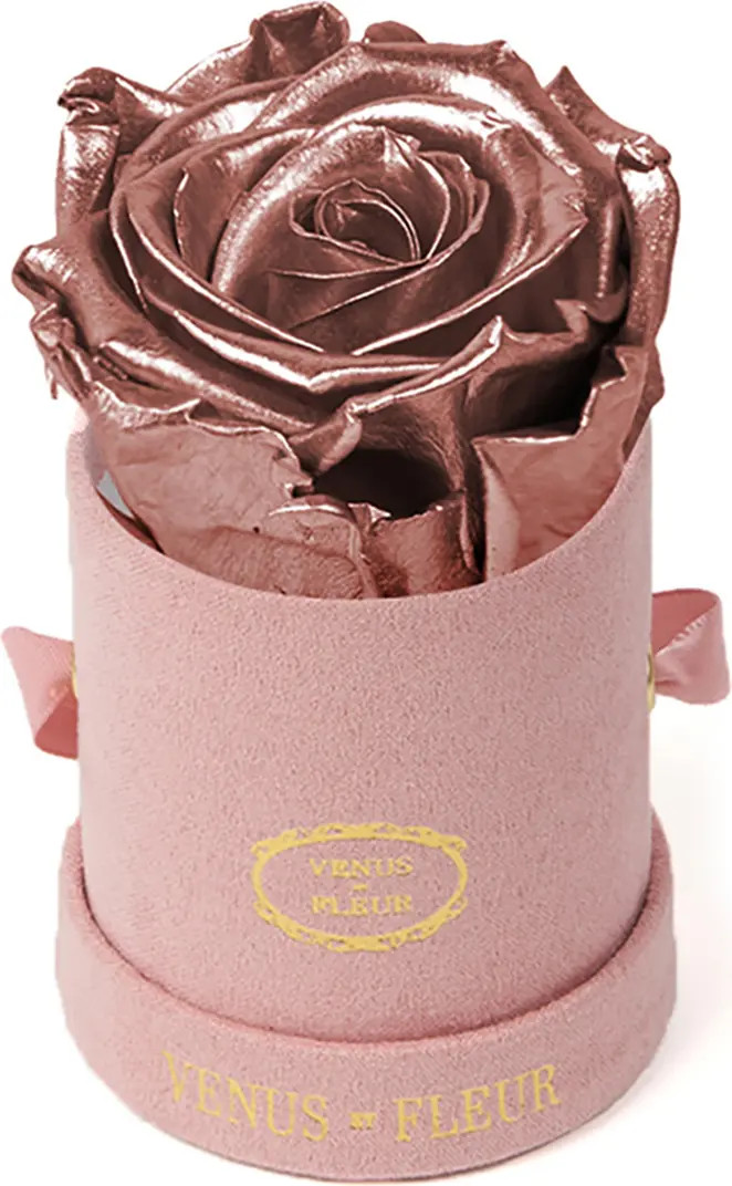 Venus ET Fleur Classic Le Mini™ Round Eternity Rose | Nordstrom | Nordstrom