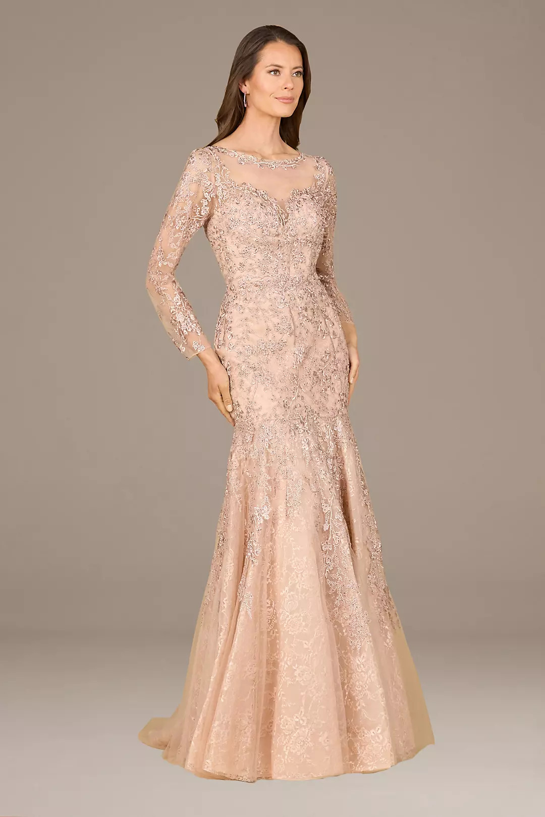 Lara Long Sleeve Embroidered Mermaid Gown | David's Bridal | David's Bridal