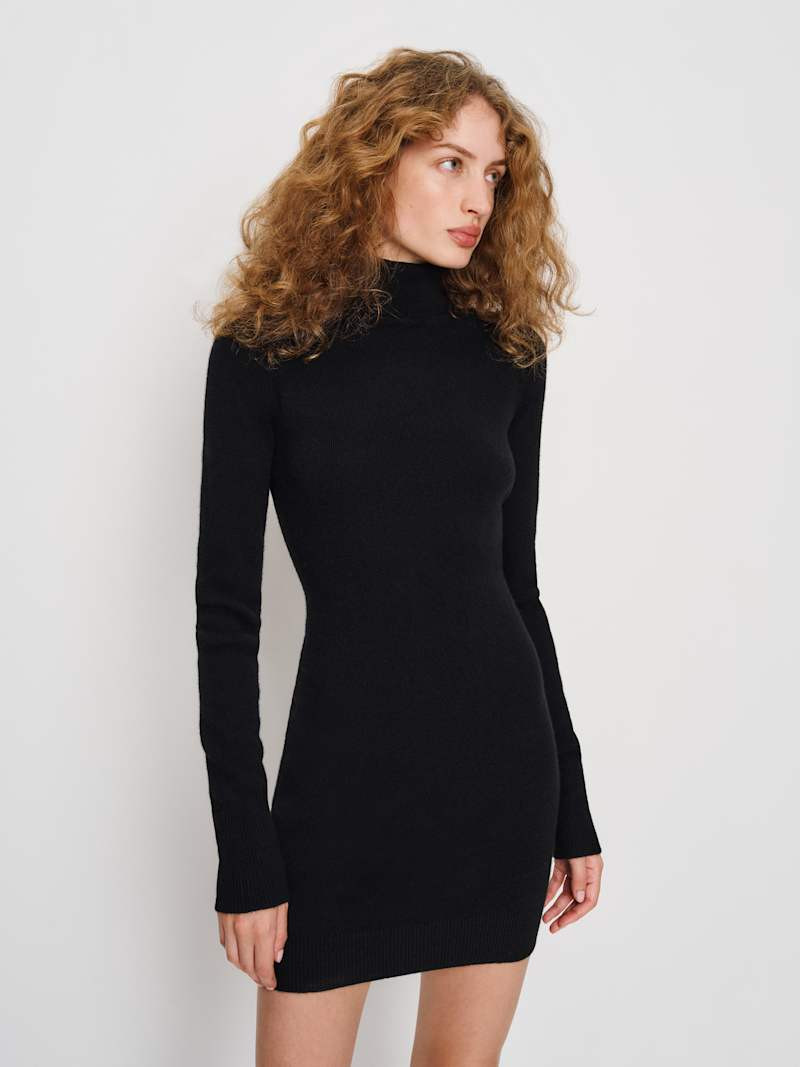 Helly Cashmere Turtleneck Dress | Reformation (Global)