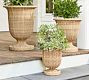 Julia Berolzheimer Woven Planter | Pottery Barn (US)