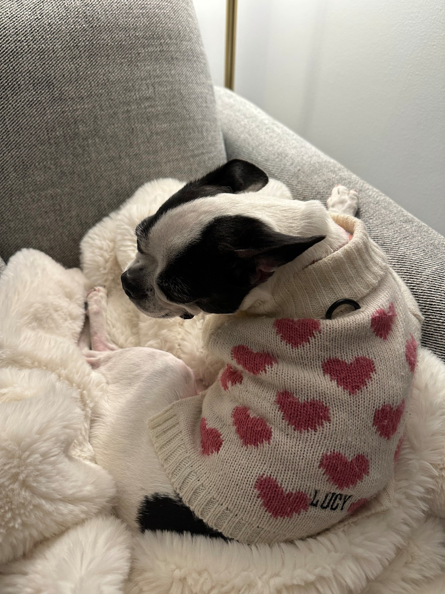 The cutest and coziest sweater for the cold months ❄️🥶⛄️ 



#LTKPets #LTKFindsUnder100 #LTKHoliday