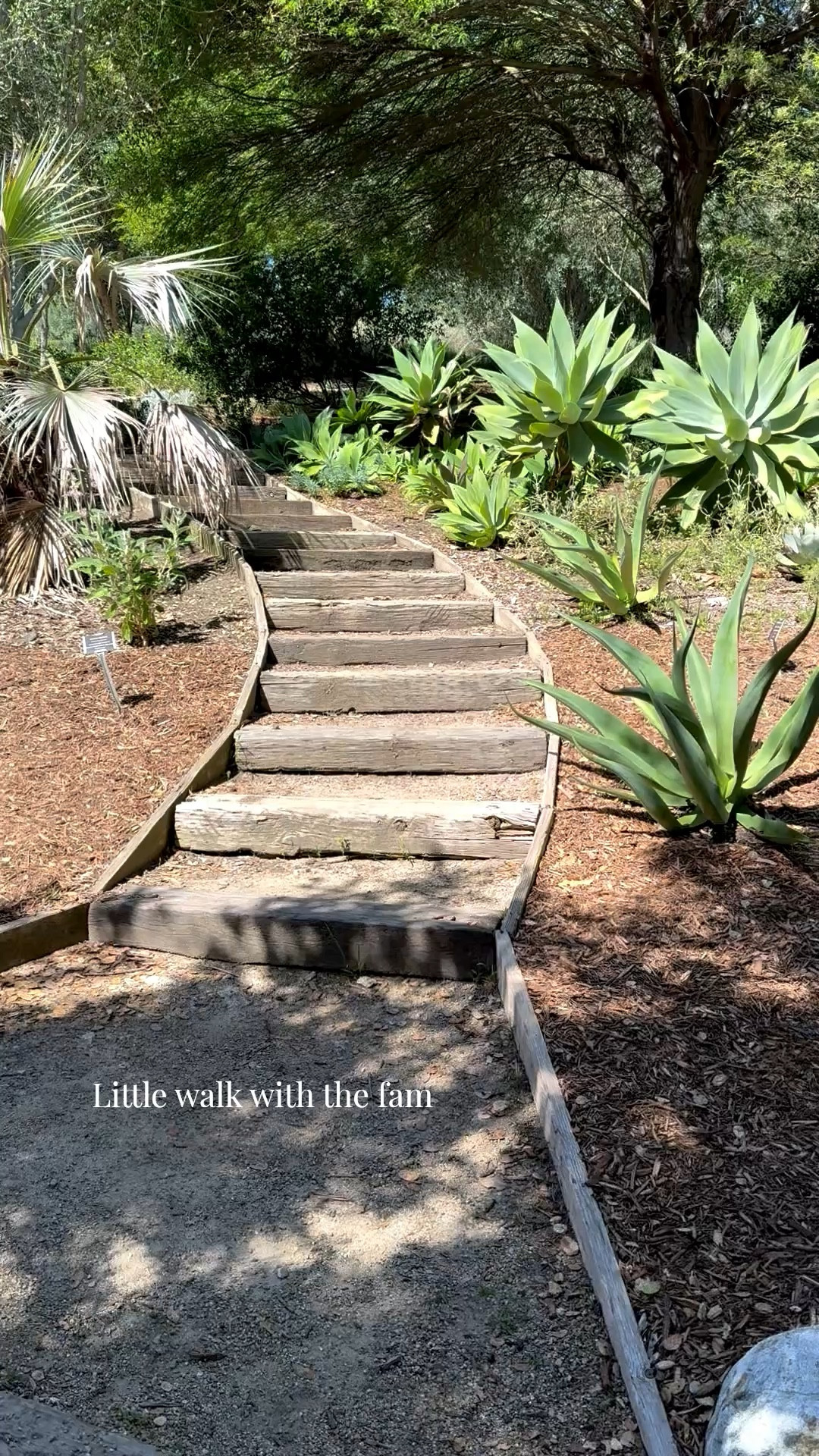 Gotta get the wiggles out 

#walking #socal 

#LTKActive #LTKdayinmylife #LTKKids