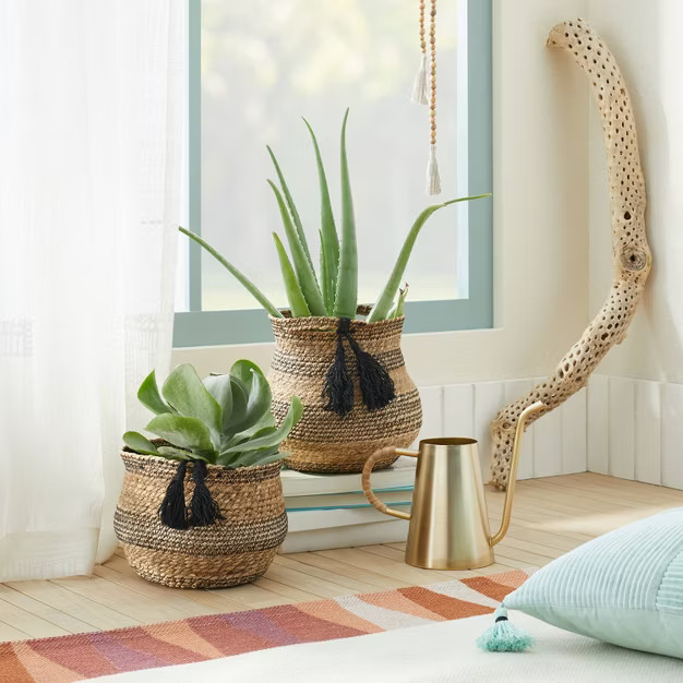 Brass Watering Can - Opalhouse™ designed with Jungalow™ | Target