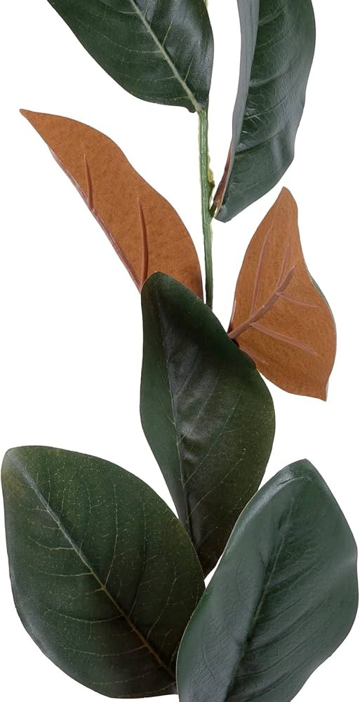 6ft. Magnolia Leaf Garland by Ashland® | Amazon (US)