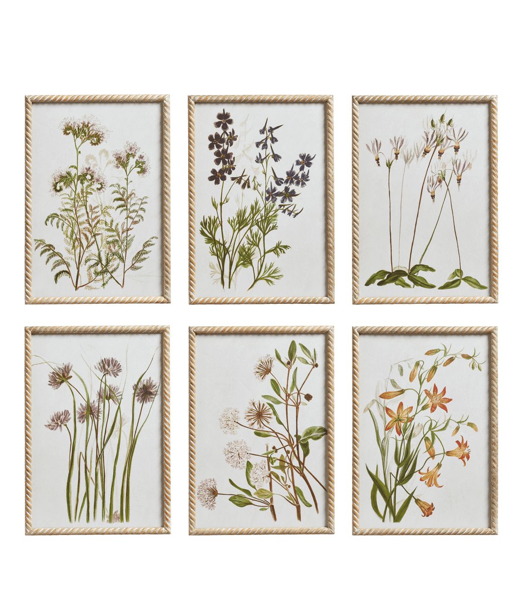 Set of Six Floral Prints - Multi | OKA US