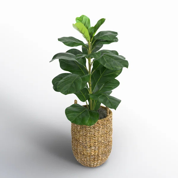 30'' Faux Fiddle Leaf Fig Tree in Wicker/Rattan Basket | Joss & Main