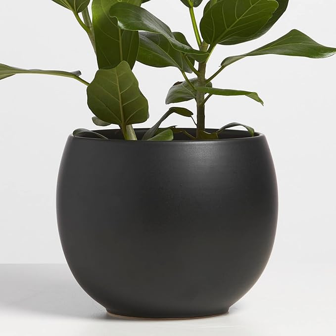 PEACH & PEBBLE 8 Inch Black Ceramic Plant Pot. Sphere Planter for House Plants and Indoor Plants ... | Amazon (US)