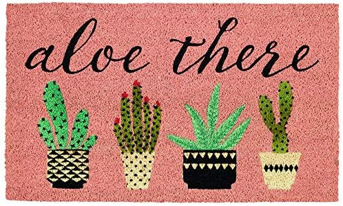 DII Natural Coir Doormat, Decorative Hello Mat, Aloe There, 18x30 | Amazon (US)