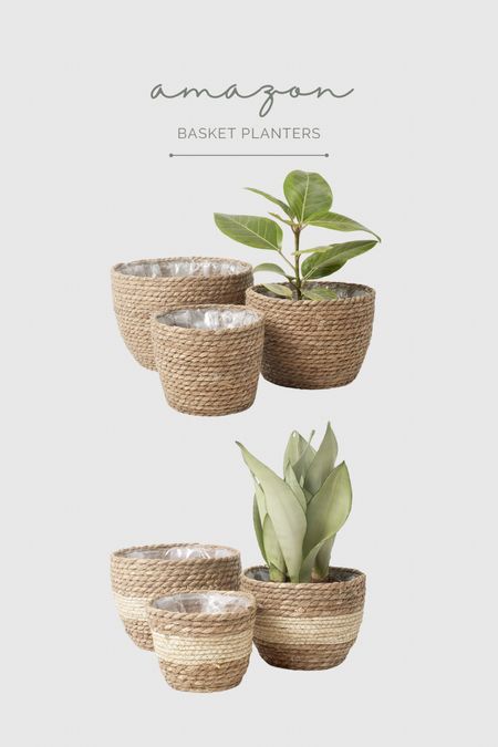The cutest basket planters for a great price!

#LTKhome #LTKstyletip #LTKsalealert