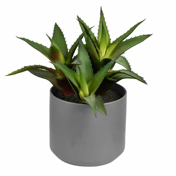 10'' Faux Succulent Plant in Ceramic Pot | Wayfair North America