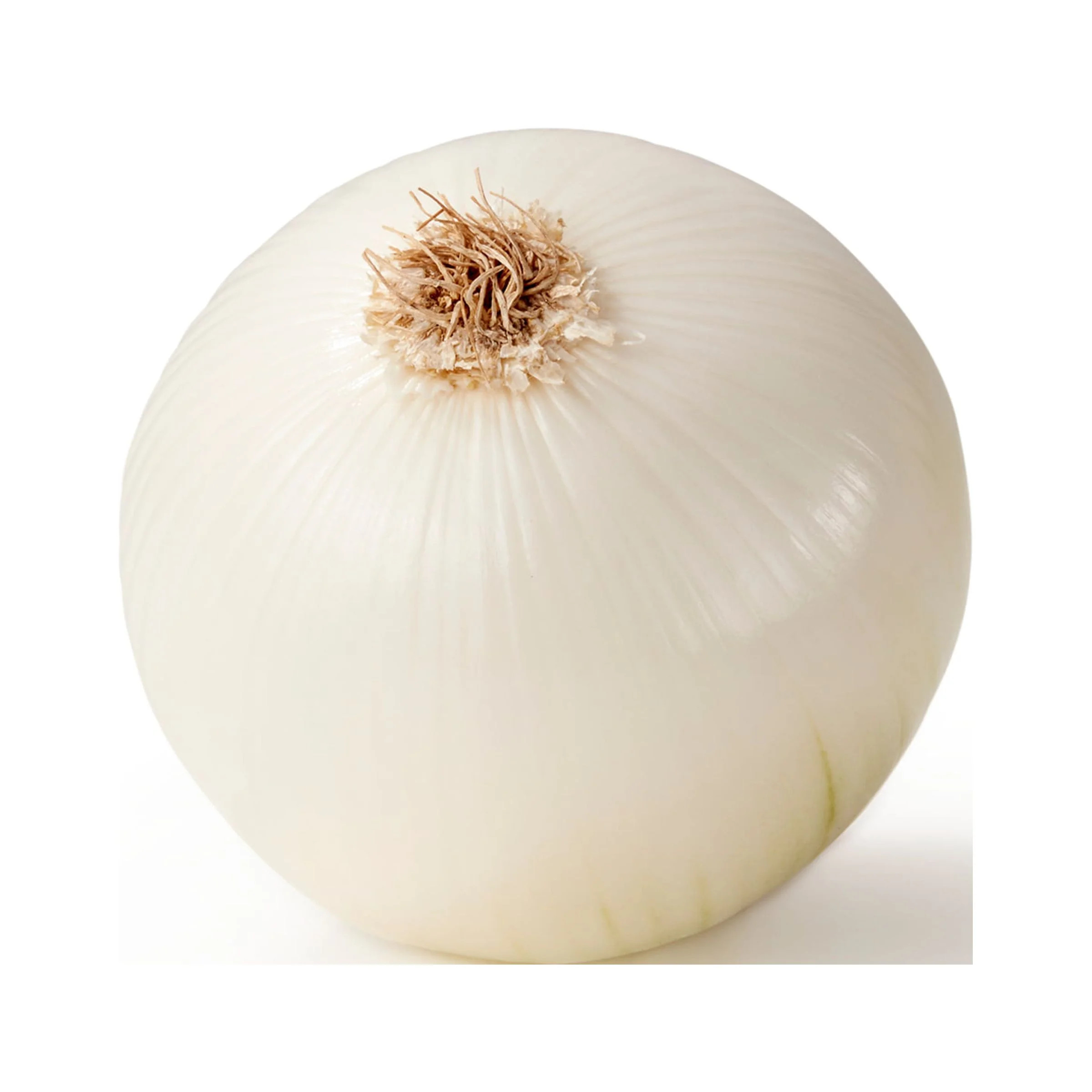 Fresh Whole White Onions, Each - Walmart.com | Walmart (US)