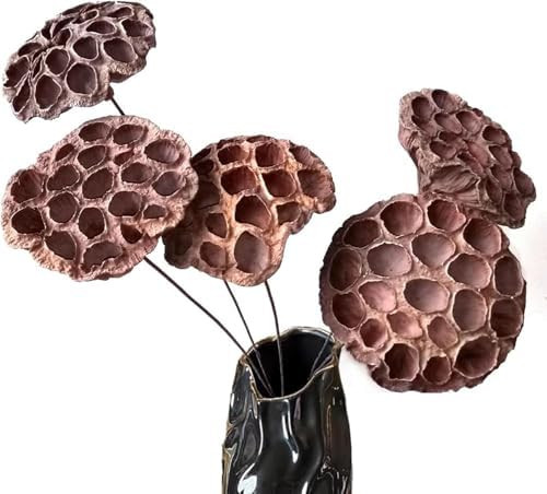 Natural Dried Lotus Pods with Stems 20'' Artificial Long Stems Artificial Dried Lotus Pods with S... | Amazon (US)
