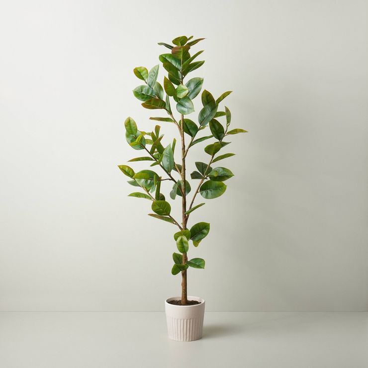 73" Faux Rubber Leaf Tree - Hearth & Hand™ with Magnolia | Target