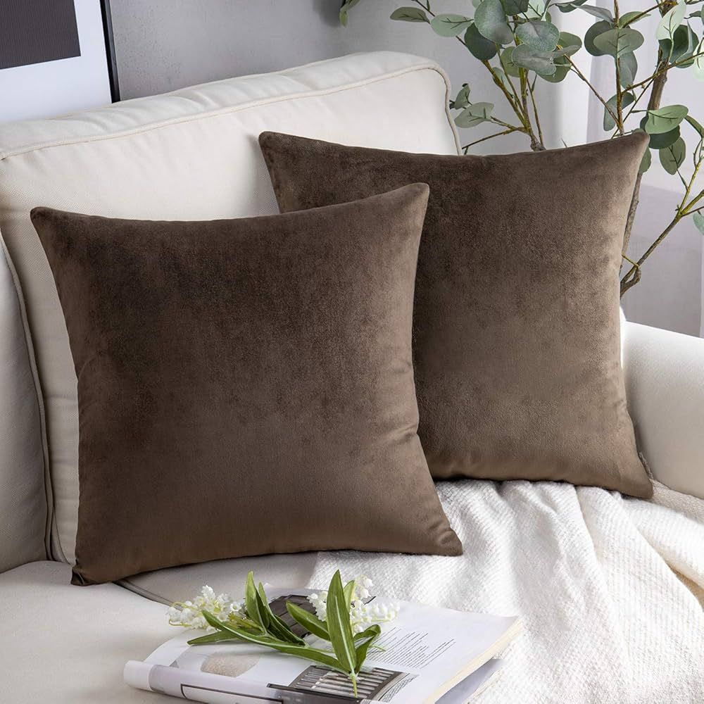 Phantoscope Pack of 2 Velvet Decorative Throw Decorative Pillow Cover Soft Solid Square Cushion C... | Amazon (US)