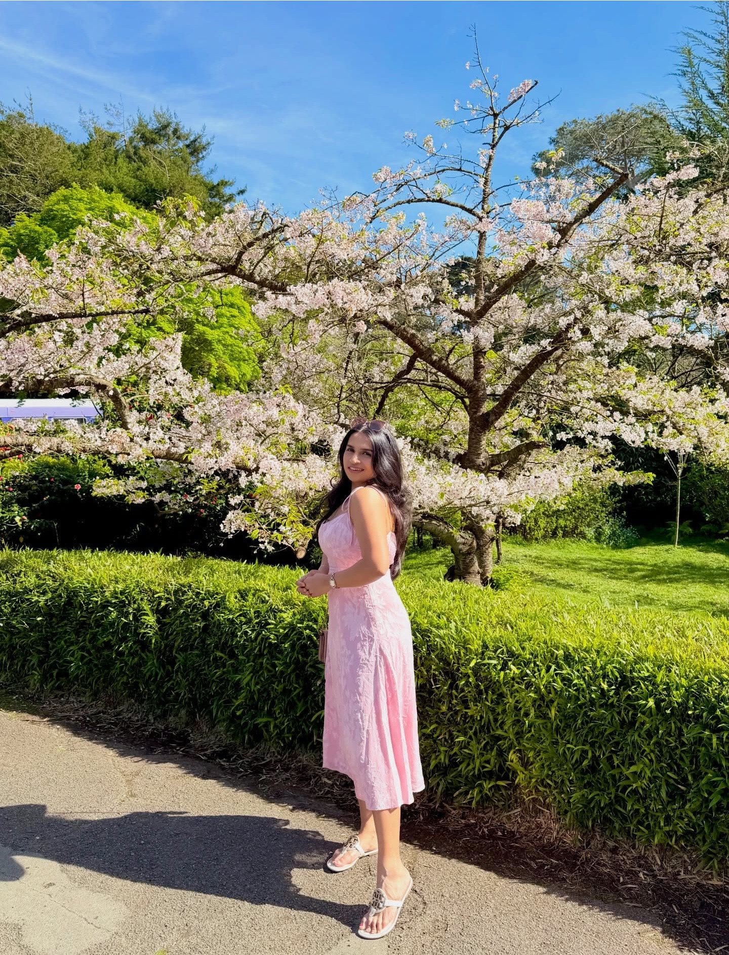 Whispering my wishes into the blossoms 🌸 
💃🏻 of course @lulus 💕

.

.

.

.

.

.

#lovelulus #cherryblossomseason #japaneseteagarden #sanfrancisco #neverendingfoootsteps