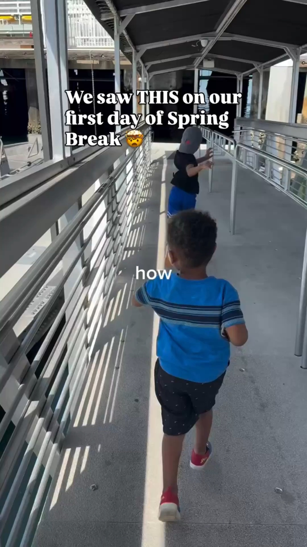 There are days that just stay with you forever… and this was one of them.
Seeing a fin whale (couldn’t catch it on camera but it was glorious), dolphins, and sea lions all in one trip felt so surreal.

It’s wild how something so simple can remind you how big and beautiful this world really is… and how lucky we are to experience it. 🤍

Thanks to @flagshipsd for the amazing tour!

#LTKdayinmylife #LTKmomlife #LTKvlog