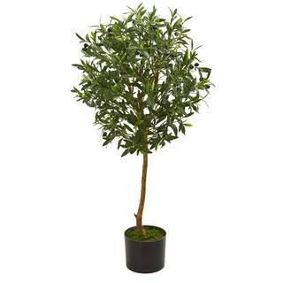 3.5ft. Potted Olive Tree | Michaels Stores