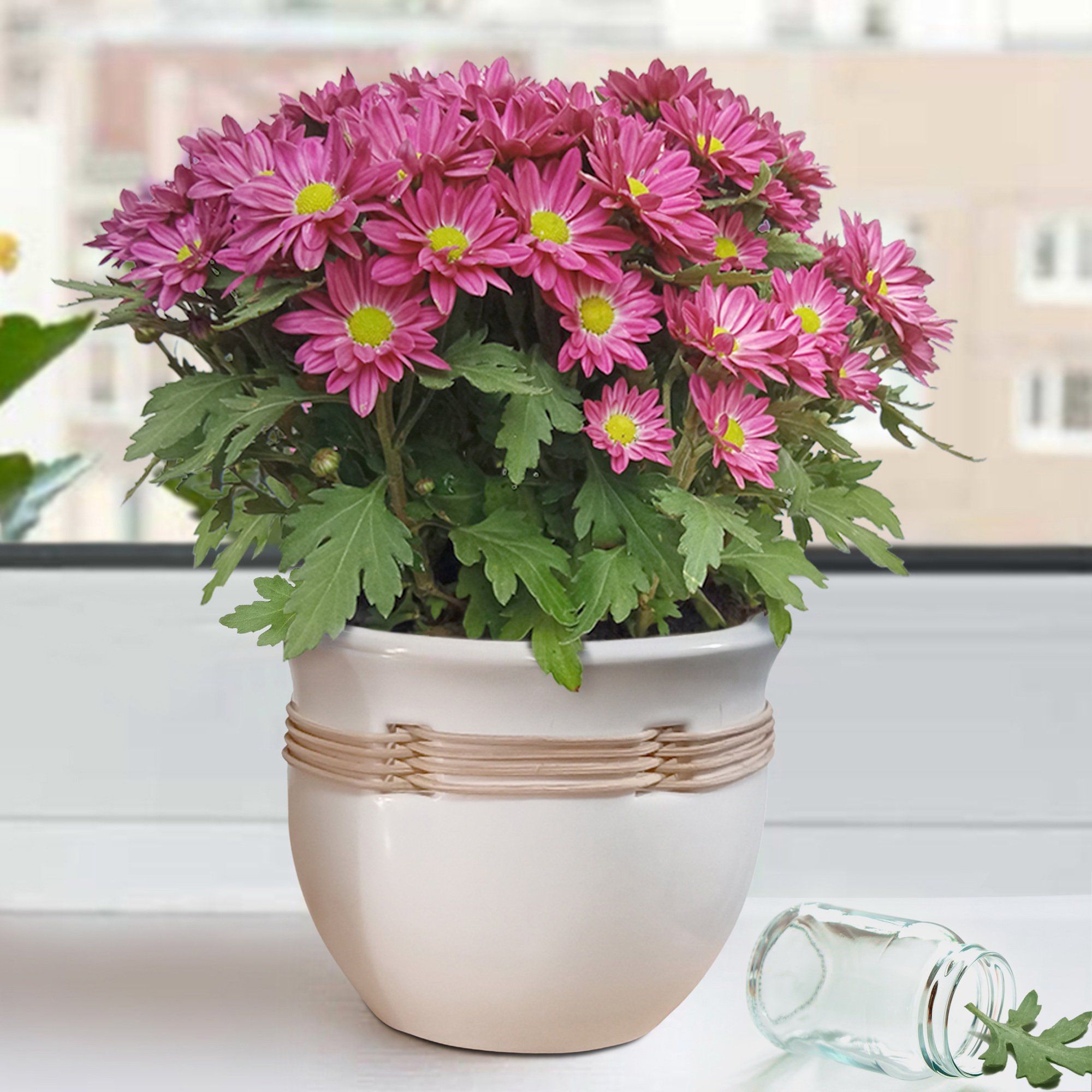 Better Homes&gardens 6 inch White Glazed Ceramic Basket Pot | Walmart (US)