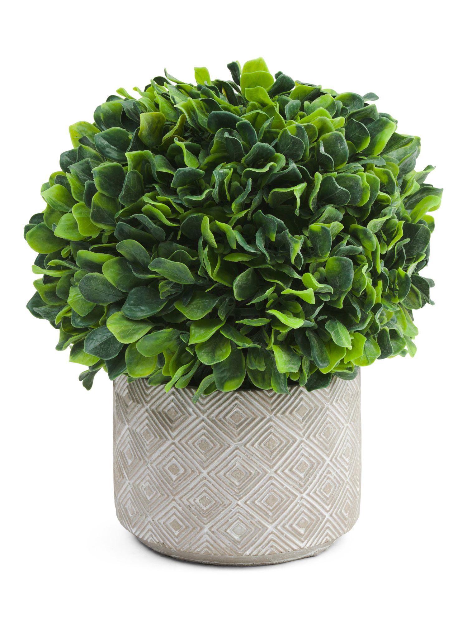 14in Jasmine Plant In Cement Pot | TJ Maxx