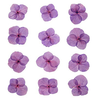 Unique Bargains P Light Purple Natural Dried Craft Accessories Dried Pressed Flower 0.6-1 Inch Light Purple 48 Pcs | Target