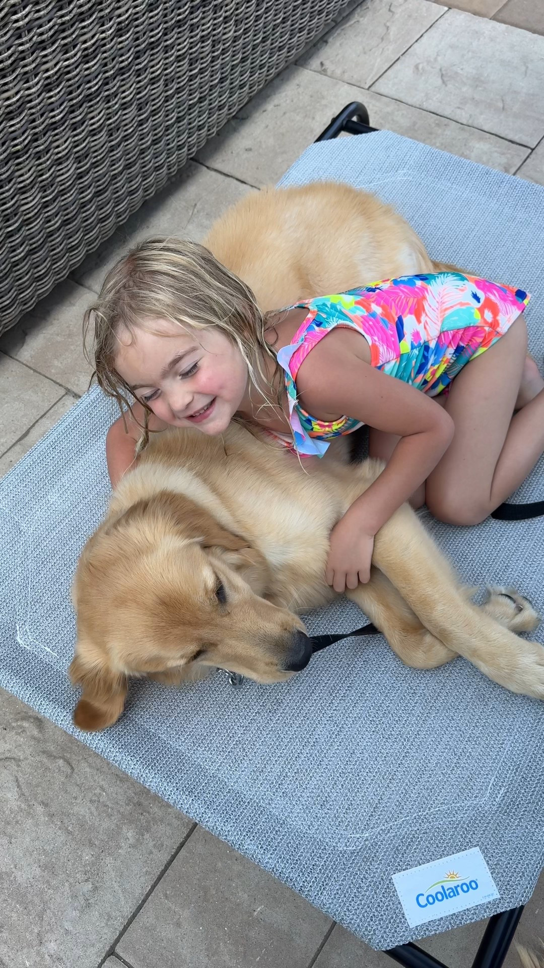 Grabbed this Coola raised dog bed so Bodhi boy can relax outside with us

#LTKFamily #LTKPets #LTKSummerEdit