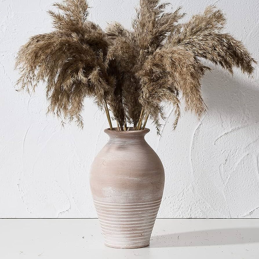 Ceramic Rustic Farmhouse Vase, 9.2 inch Whitewashed Terracotta Vase, Pottery Decorative Flower Va... | Amazon (US)