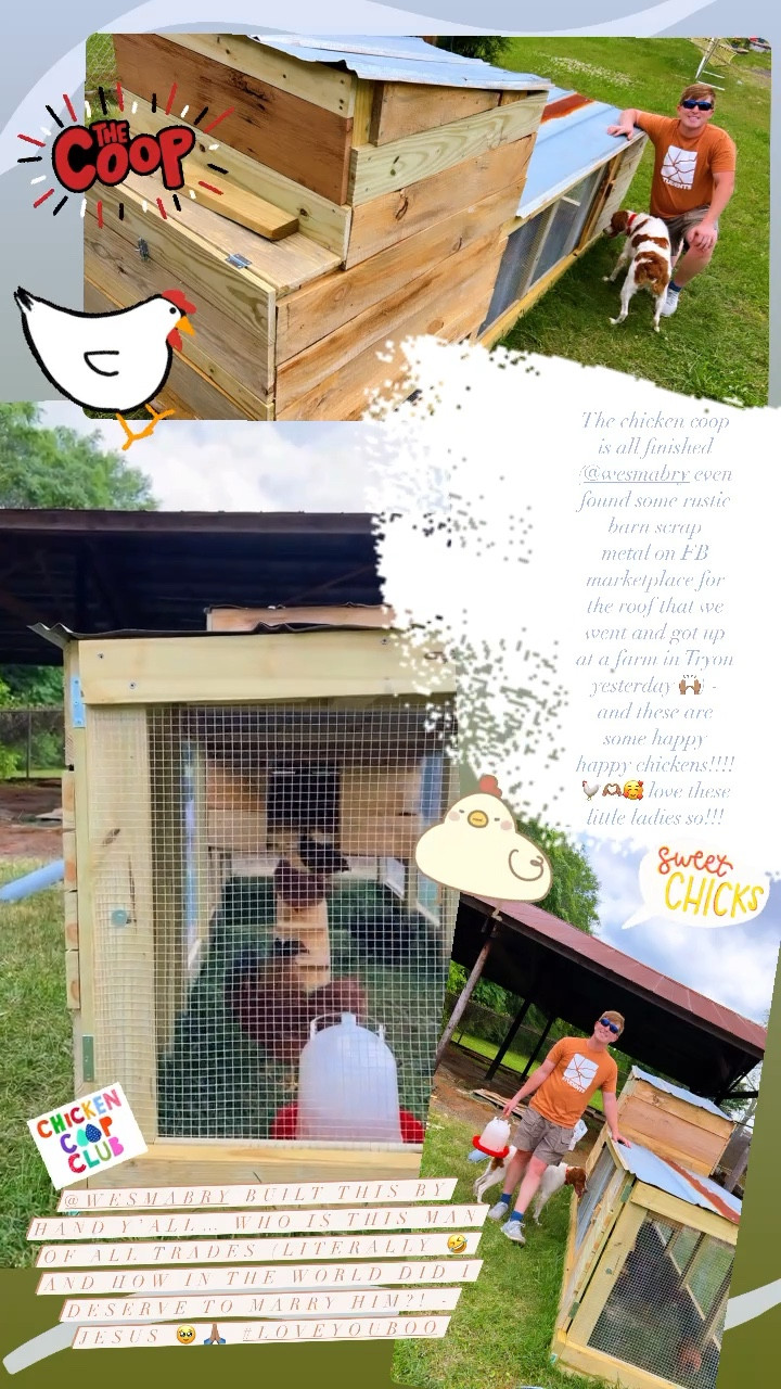 The chicken coop is all finished (@wesmabry even found some rustic barn scrap 
metal on FB marketplace for the roof that we went and got up at a farm in Tryon yesterday 🙌🏽) - and these are some happy happy chickens!!!! 🐓🫶🏽🥰 love these little ladies so!!! 

@wesmabry built this by hand y’all… who is this man of all trades (literally 🤣and how in the world did I deserve to marry him?! - JESUS 🥹🙏🏽 #loveyouboo

#LTKfamily #LTKhome #LTKSeasonal