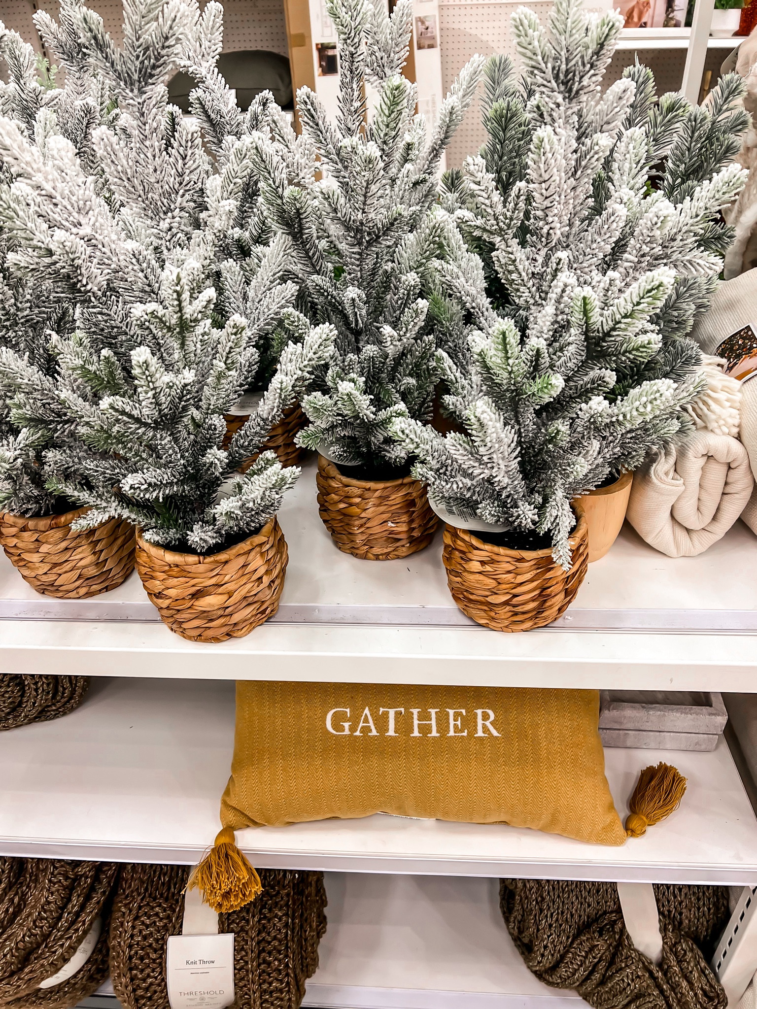 Winter decorations from Target🌲🤎

Flocked tree, mini tree, pillows, cable knit throw, chunky knit throw, blankets

#LTKHoliday #LTKSeasonal #LTKhome