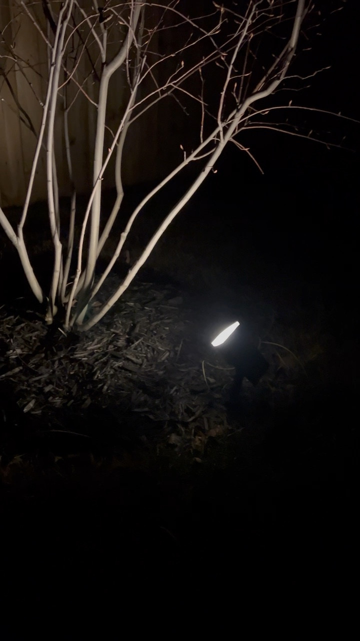 For anyone that wants an wireless solution to outdoor lights these warm solar power lights are definitely a win!

We’ve had 12 of these lights around our home for the past 6 months and they’re still going strong. I absolutely love the brightness and the fact they have a built-in dawn to dusk timer. 

#LTKhome