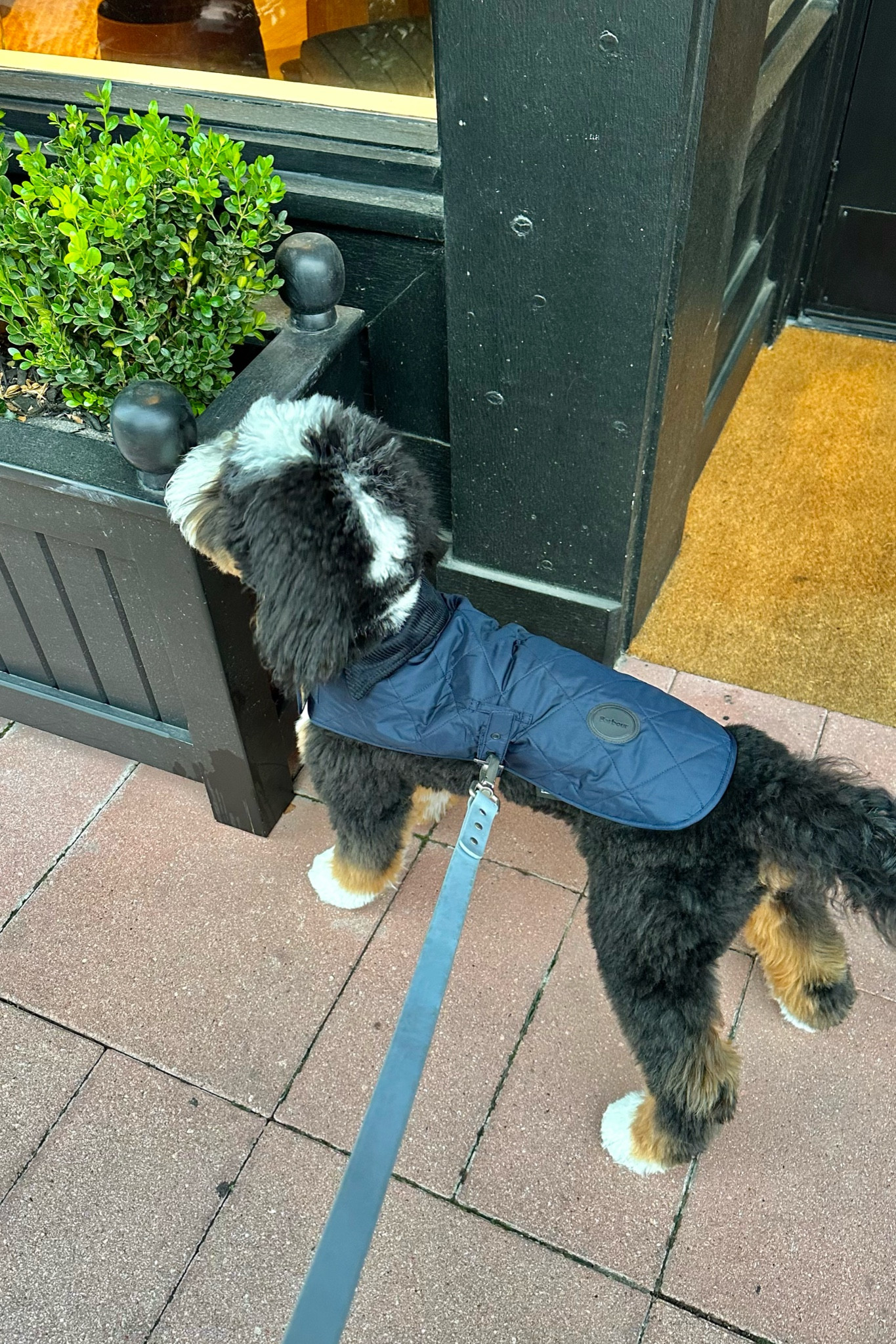 Someone got a Barbour coat 

#LTKfindsunder50 #LTKhome #LTKfindsunder100