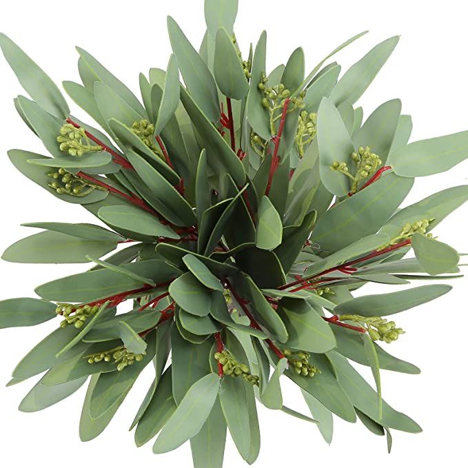 Amazon.com: Greentime 8 Pack Faux Eucalyptus Stems with Seeds 13 Inches Artificial Seeded Leaves ... | Amazon (US)