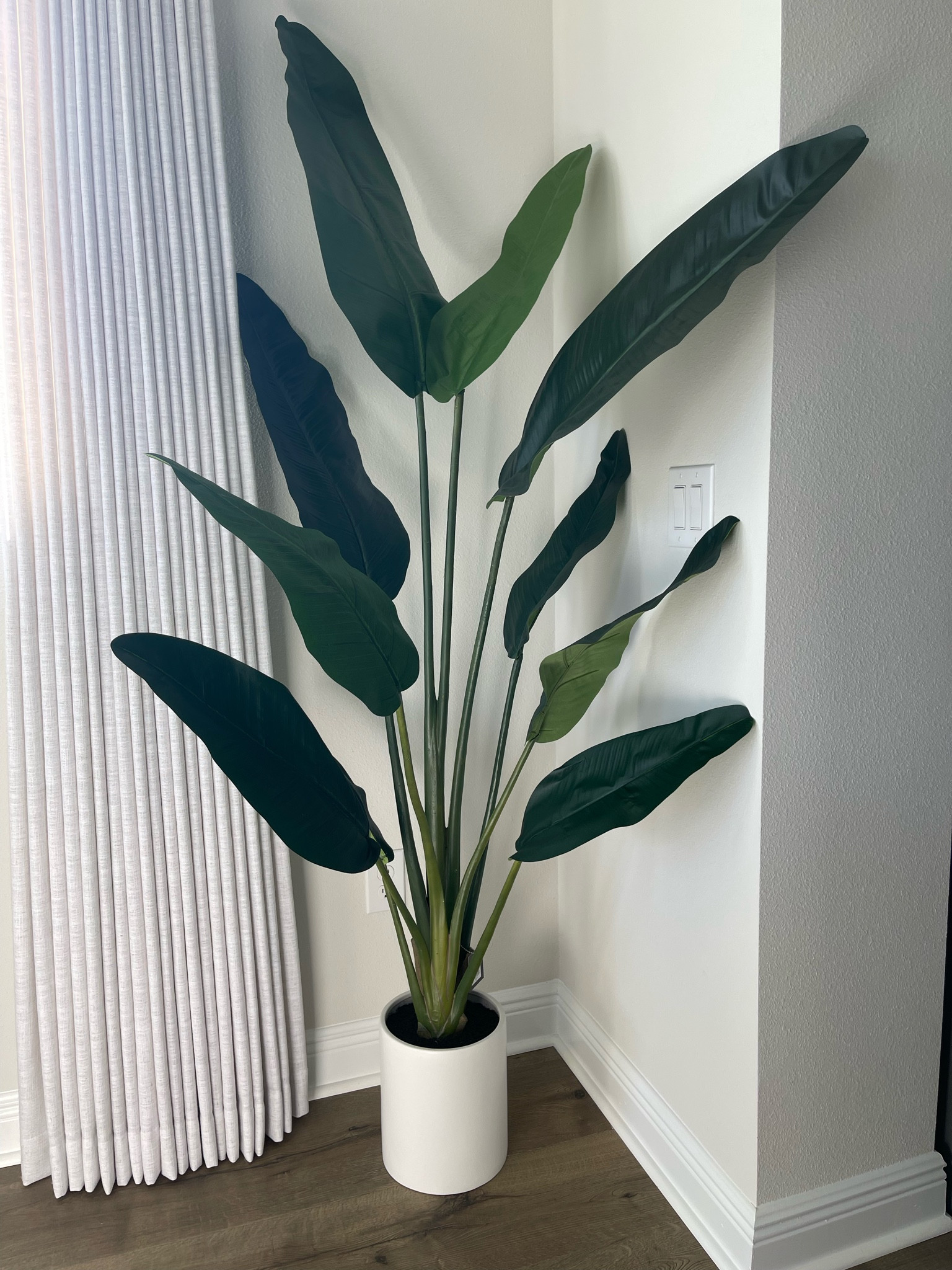 Faux Banana Tree under $100

#LTKhome #LTKunder100 #LTKstyletip