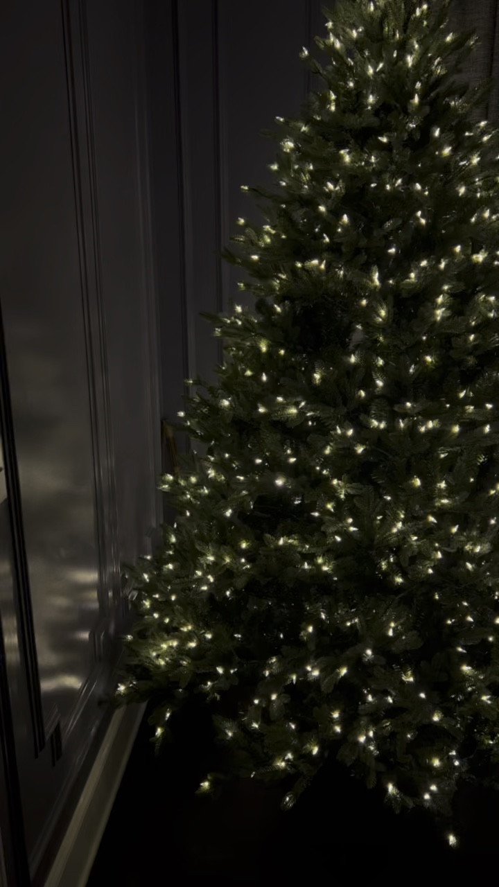 The VIRAL christmas tree✨🎄 grab yours before they’re gone! 

Christmas tree, christmas tree viral, holiday decor, faux christmas tree, artificial tree, pre-lit tree, holiday decor styling, Caleigh Hardy 

#LTKSeasonal #LTKHoliday #LTKHome