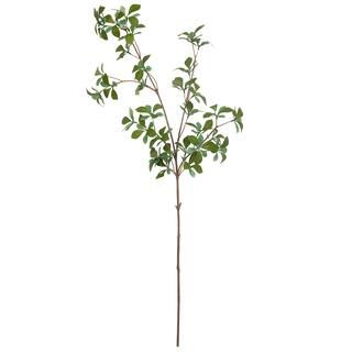 Mini Ficus Leaf Stem by Ashland® | Stems | Michaels | Michaels Stores