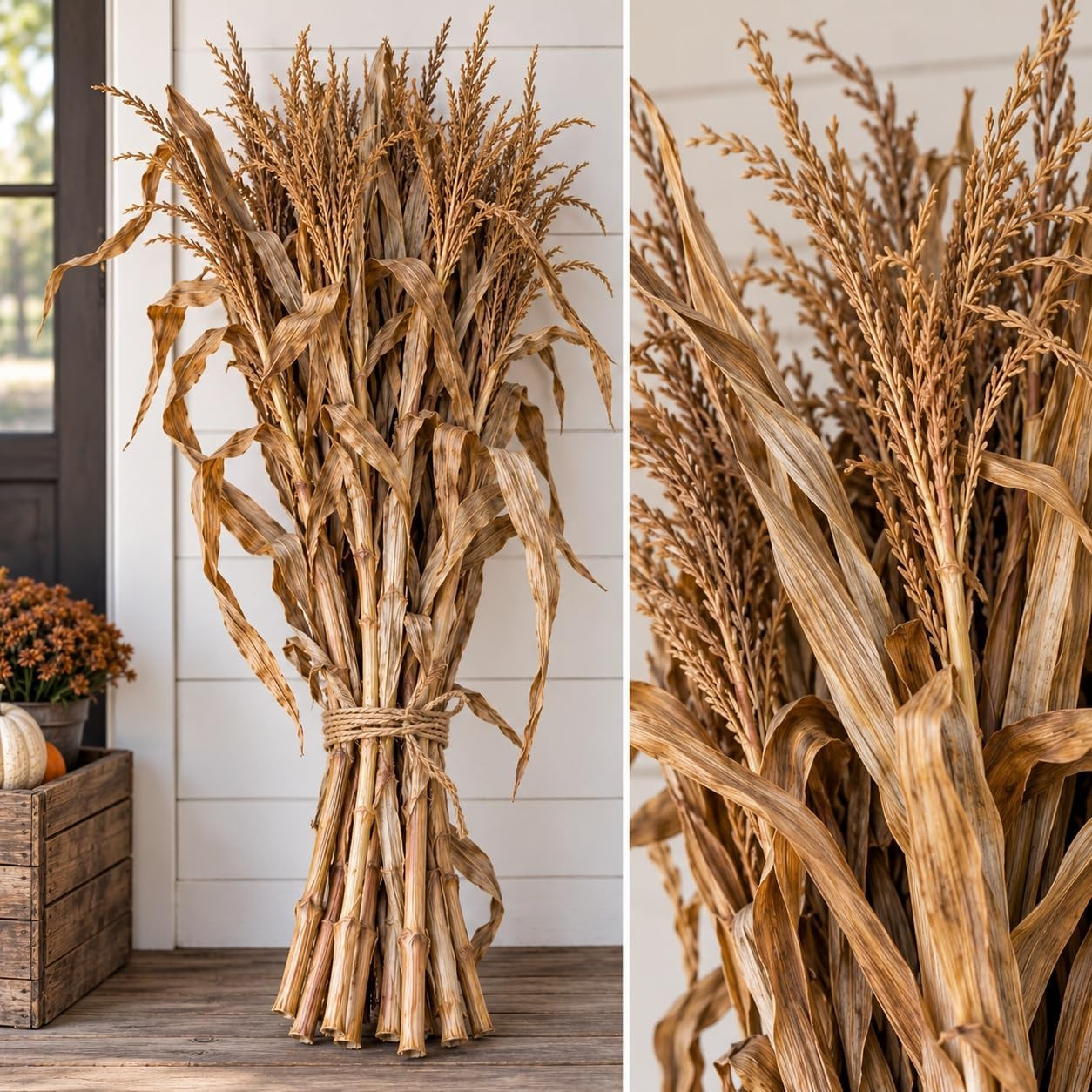 20 Dried Corn Stalks – 3 Ft Natural Cornstalk Bundle for Natural Fall Decor | Amazon (US)