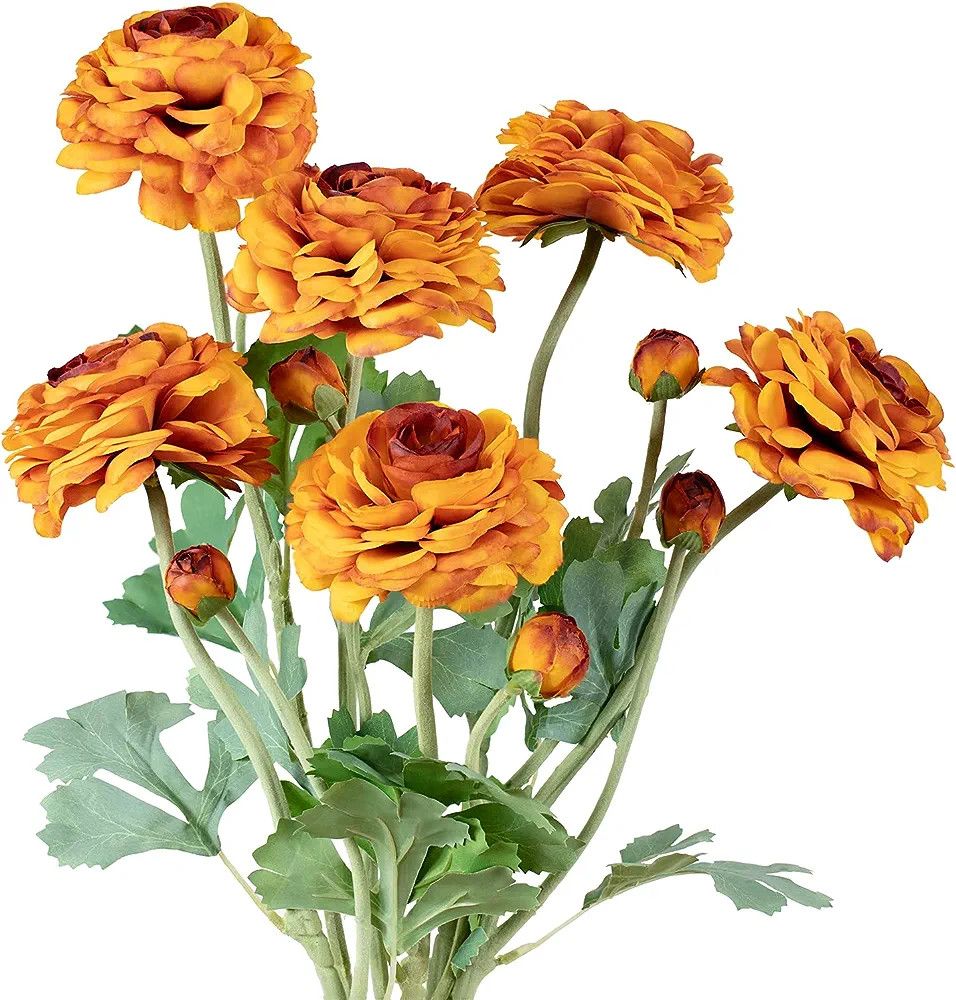 GLSATEMAN Artificial Ranunculus Long Stem Buttercup Silk Flowers 6pcs for Home Decor and Wedding ... | Amazon (US)