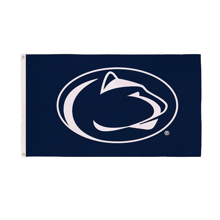 College Single-Sided Flag | Pottery Barn Teen