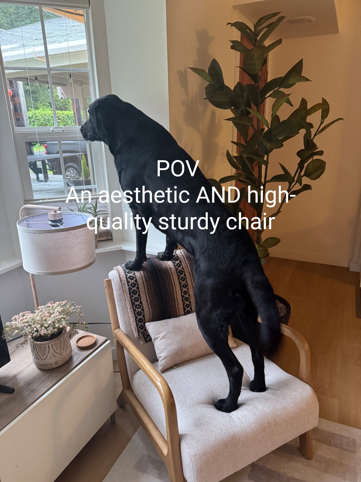 Get you a chair that can look good AND tolerate some serious wear and tear 😂😂

#LTKU #LTKPets #LTKHome