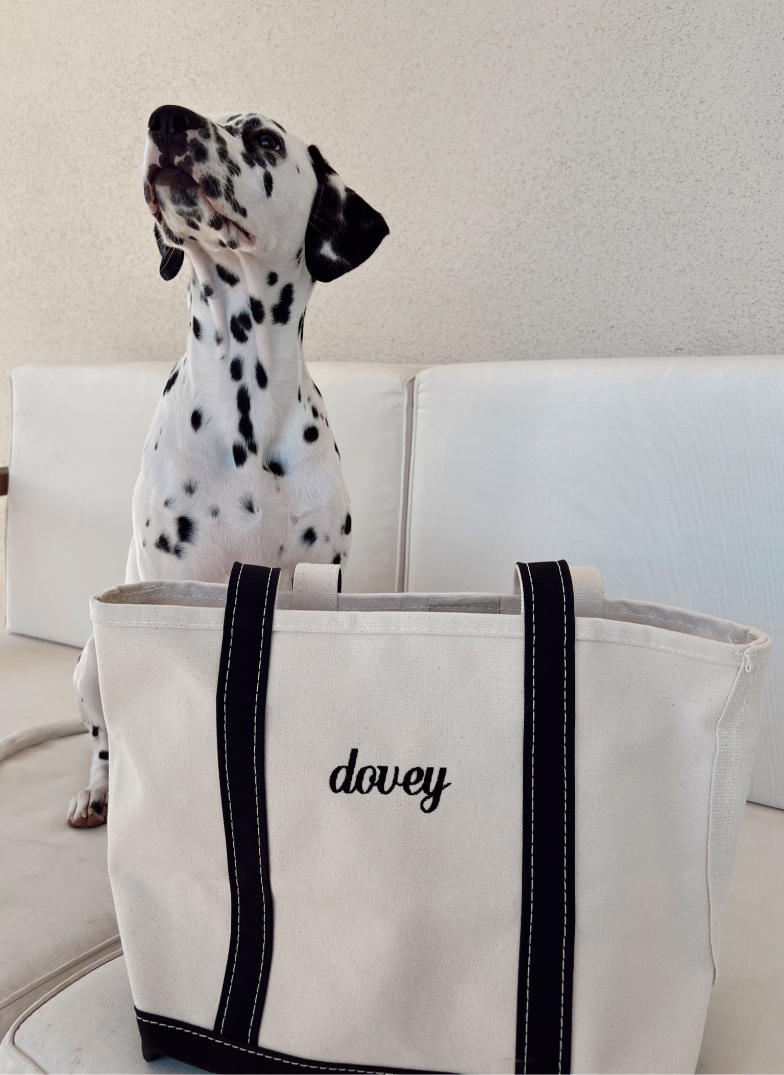 LL Bean tote bag #boatandtote 

#LTKtravel #LTKitbag #LTKBacktoSchool