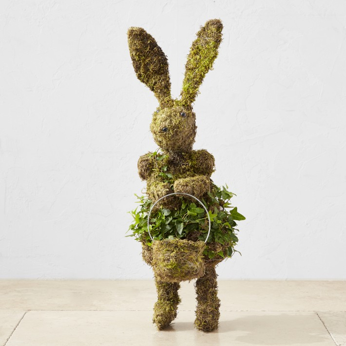 Easter Bunny with Basket Ivy & Moss Live Topiary, 24" | Williams-Sonoma