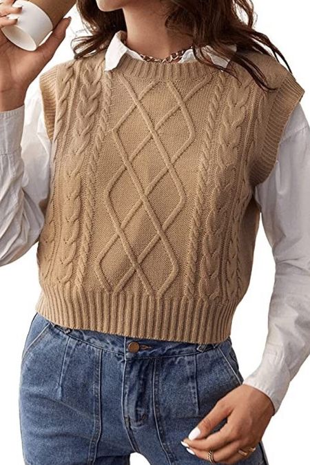 TAN/Brown Sweater Vest

#LTKworkwear #LTKunder50 #LTKSeasonal
