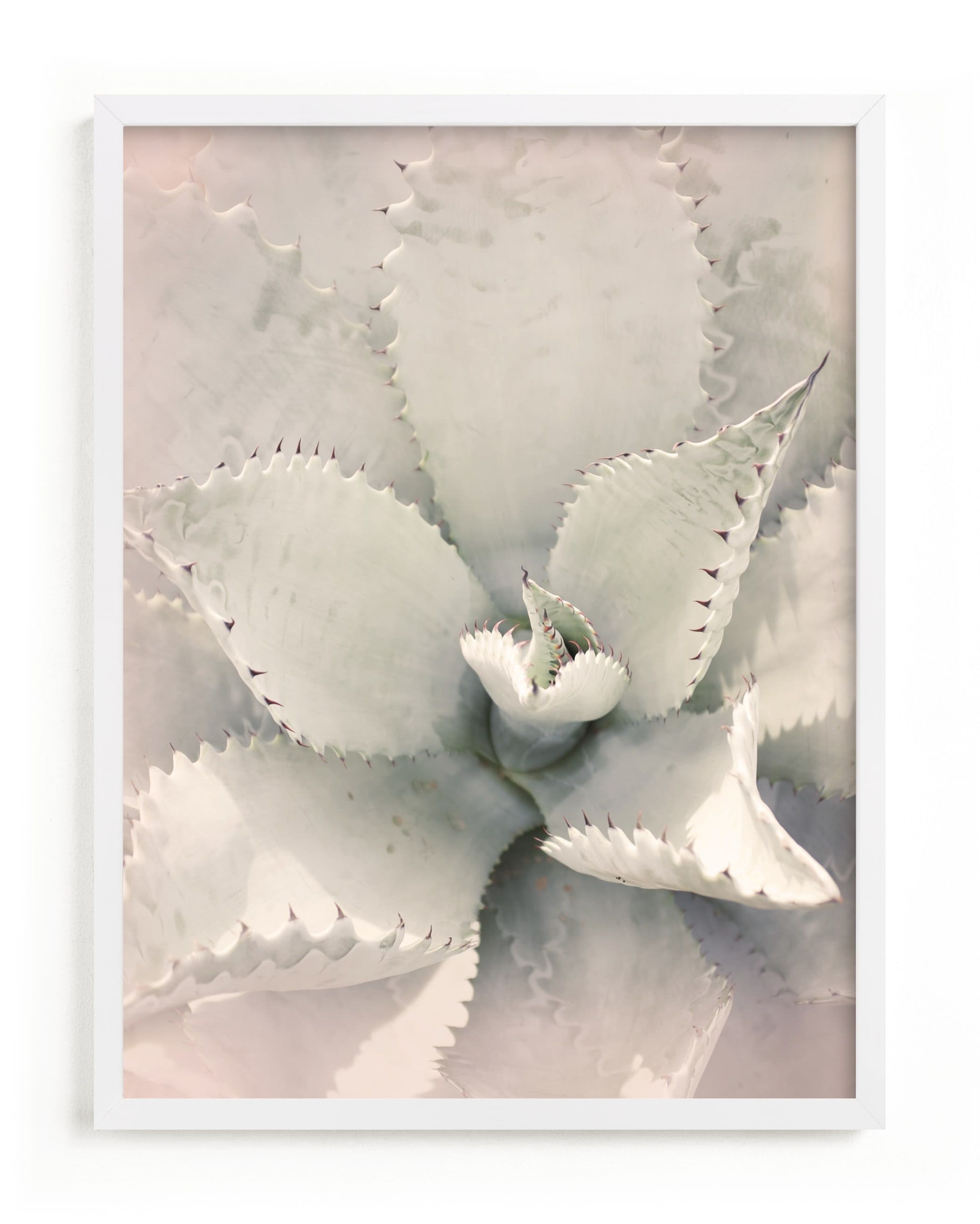 Southwestern Succulent Limited Edition Art | Minted
