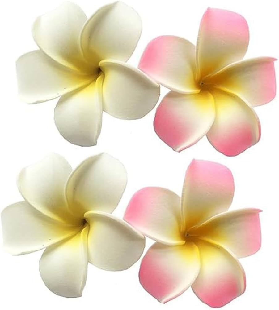 4 Pcs 7cm White and Pink Hawaiian Frangipani Plumeria Foam Head Flower Party Beach Hair Clip Hair... | Amazon (US)