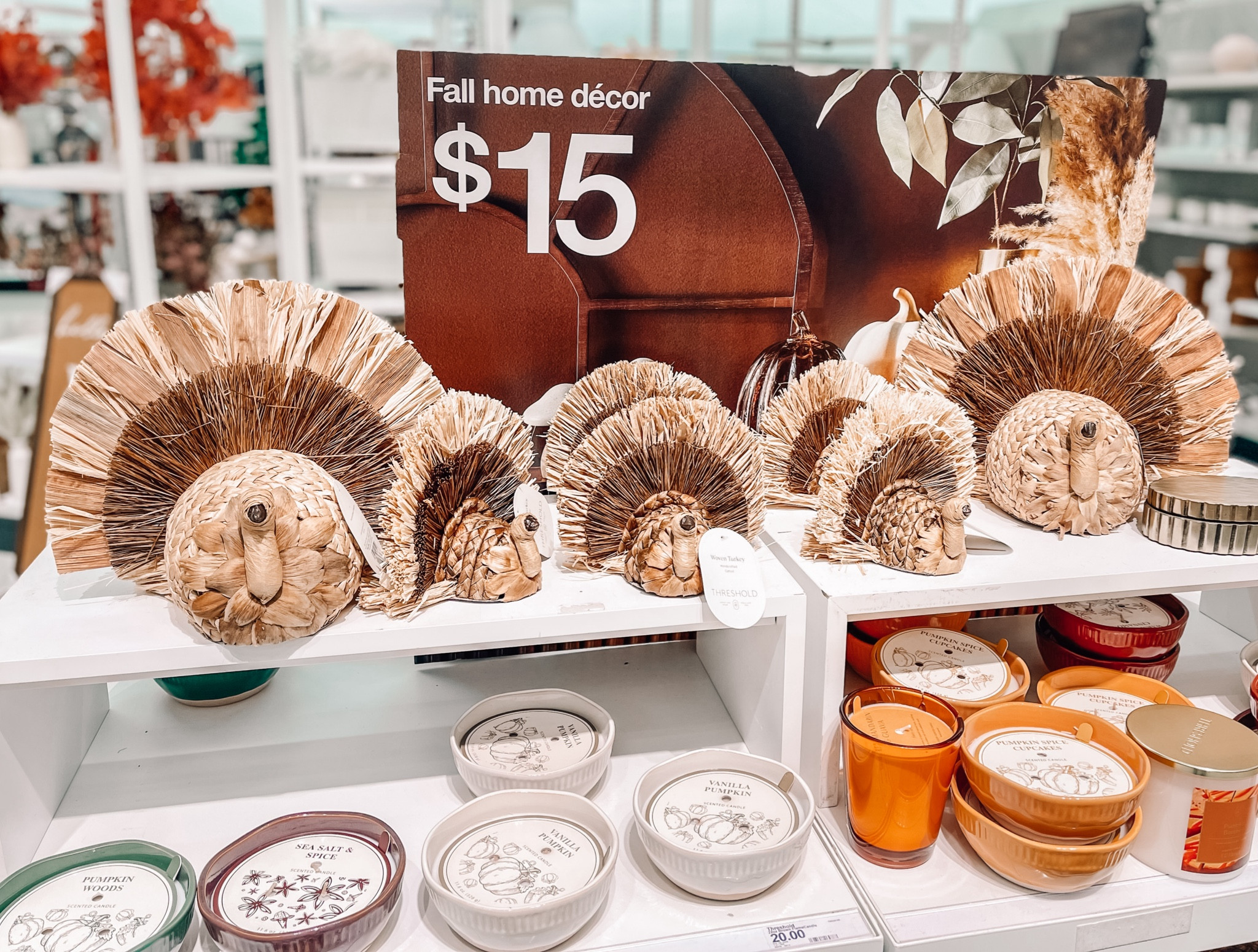 The cutest woven turkeys and pumpkins
Fall decor 
Thanksgiving decor 
Fall candles
Target fall home decor 
Target home decor


#LTKHome #LTKSeasonal #LTKFindsUnder50