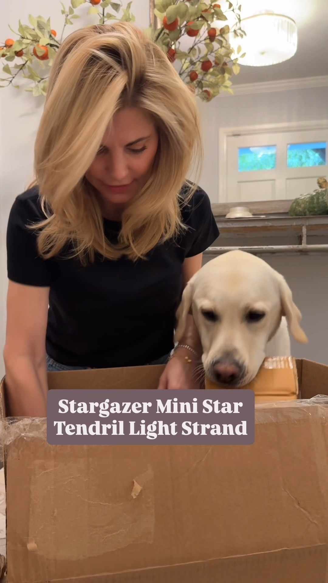 The final part of my unboxing with Terrain is this beautiful stargazer mini star tendril light stand. Don’t I have the cutest unboxing partner?! #gifted 

#LTKHome