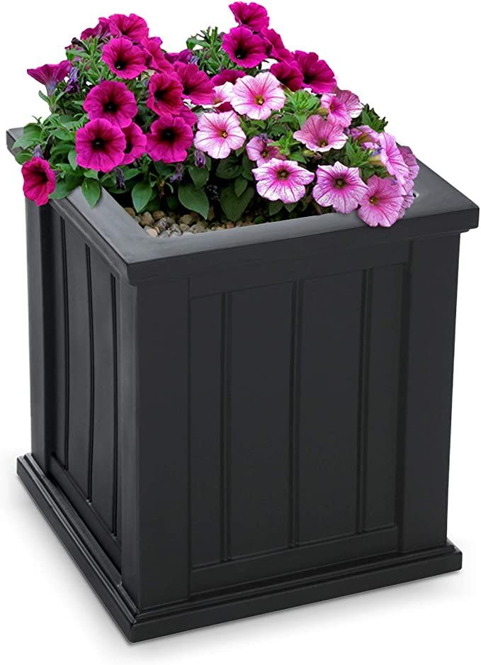 Mayne 4837B Cod Planter, Black, 16-Inch | Amazon (US)