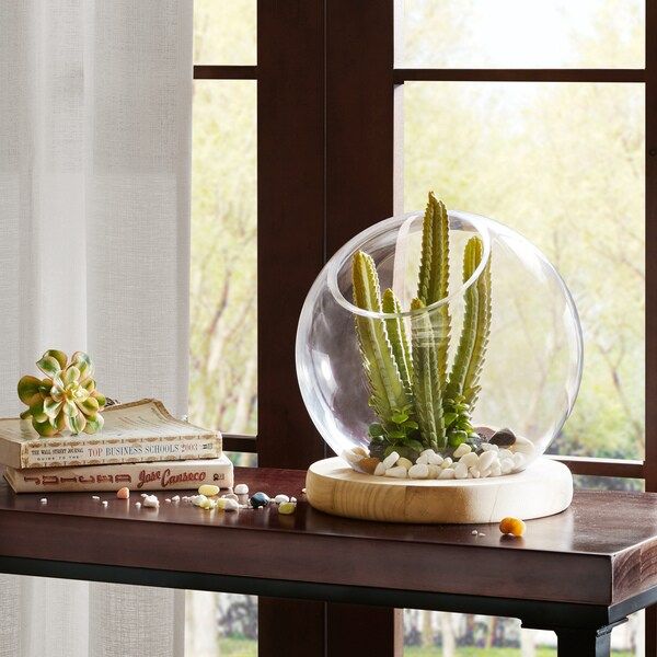 Madison Park Amory Clear Bubble Terrarium with Wood Base- Large | Bed Bath & Beyond